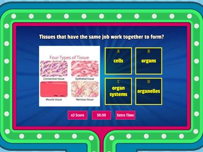 Kacher Cells-tissues-organs-organ systems!