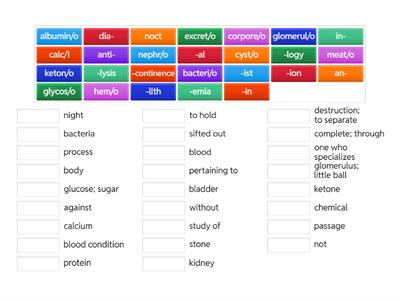 Urinary System Med Term Match Up