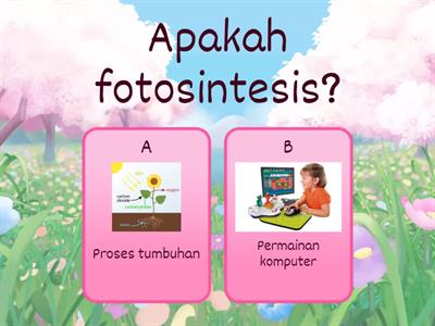 Fotosintesis untuk Si Kecil