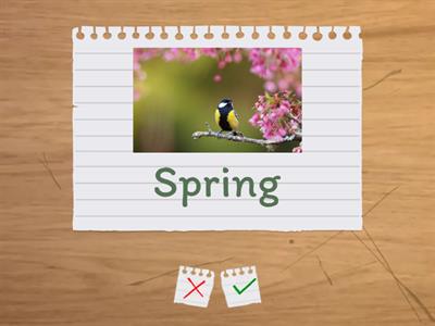 погода и времена года