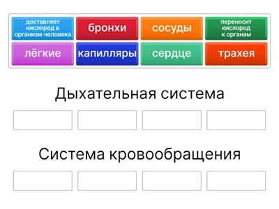 Дыхание или кровообращение?