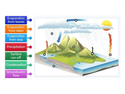 Water Cycle