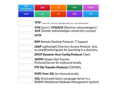 Network Protocols