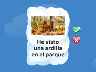 EL COMPLEMENTO DIRECTO