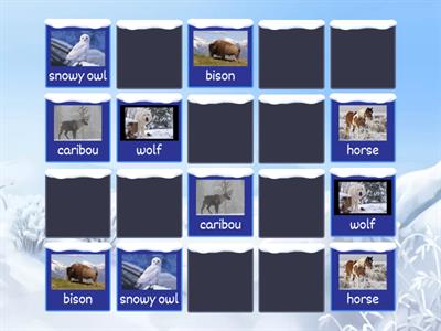 Arctic Wild Animals (Matcing Pairs)