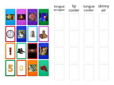 LiPS Sort # 3 (Beginning Sounds) s, z, TH, th, f,v k, g