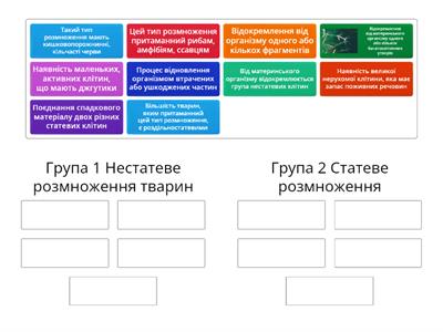 Розмноження тварин