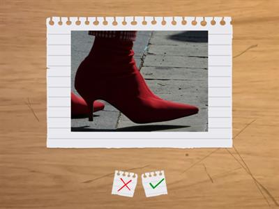 ESL L1 / A1 : Body Part Vocabulary Flashcards