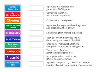 Unit 11- Uses of Genetics