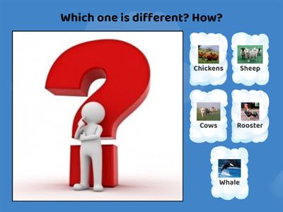 Which One is Different?-AMSLP