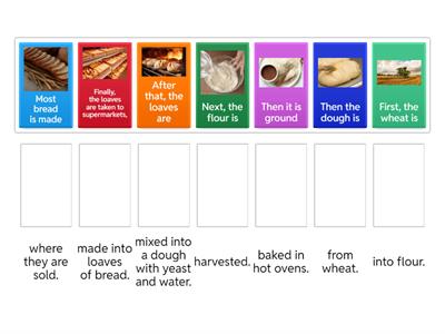 Grammar Goals 5 U5 ex2 p40