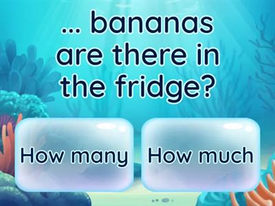 how much vs How many