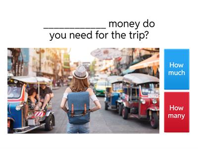 How Much / How Many Quiz