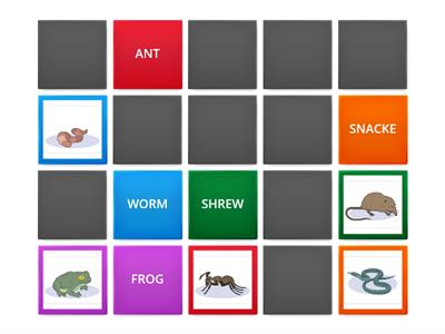 SYSTEMIC B4 - Geography - Soil Layers - Animals