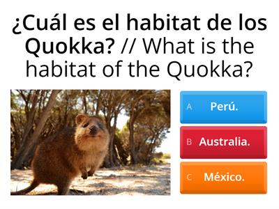  ¡Vamos a practicar el vocabulario del Quokka!