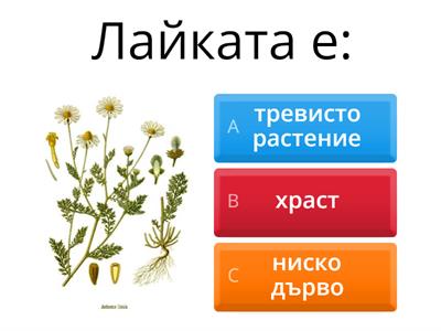 3 КЛАС ВХОДНО НИВО