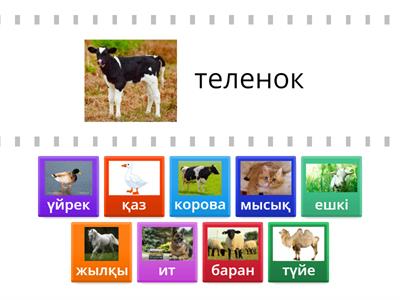 Төрт түлік