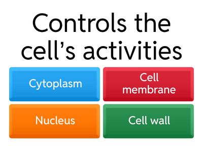 S1 BGE  Animal & Plant Cell Parts