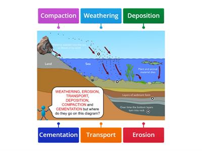 Sedimentary Rock Formation