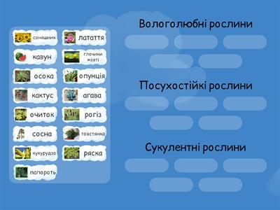 Екологічні групи рослин по відношенню до води