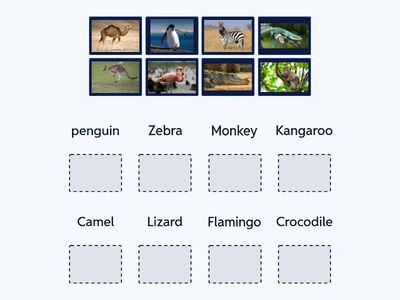 3rd grade gulsezim askarbek