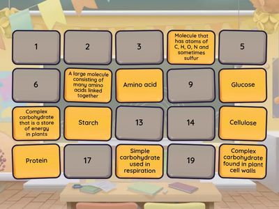 IGCSE Biological molecules match pairs