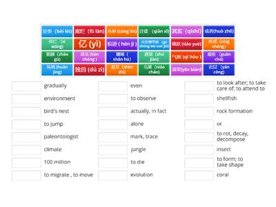 Science Reading Vocabulary about “Fossils“ 