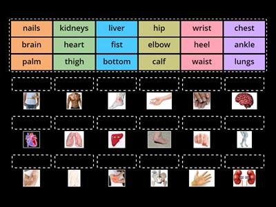 NEF Upper-intermediate 3rd edition 7B Body Vocabulary