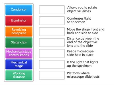 Microscope Functions