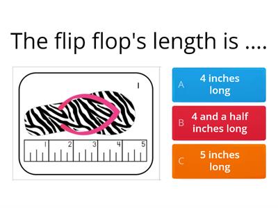 Measuring to the nearest half inch 