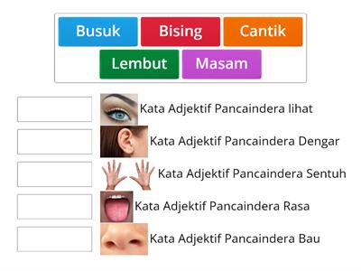 Salin Kata Adjektif Pancaindera Tahun 3