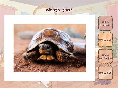 3 класс,PB, Unit 4, Lesson 1 