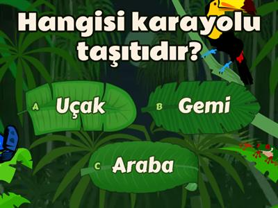 GÜVENLİ HAYAT TEST