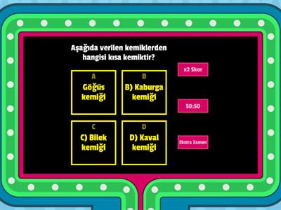 6.sınıf fen bilimleri destek ve hareket sistemi test