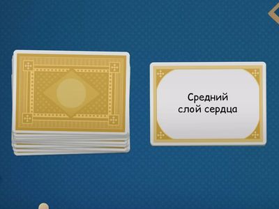 Без названия1