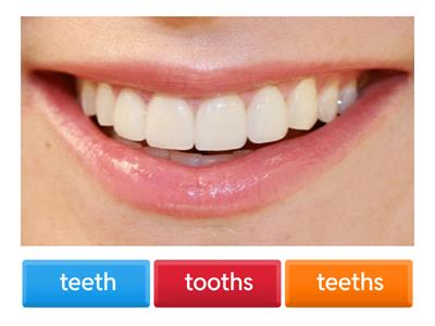 Plural nouns: Regular and Irregular