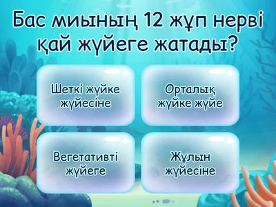 12-жұп нервтары