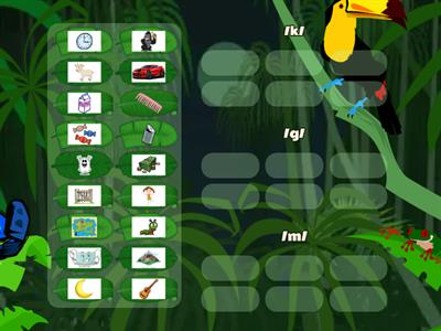 Lesson 15.2: Initial Sound Sorting  /k/ /g/ /m/