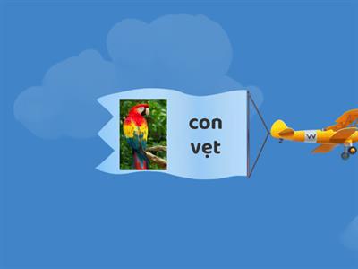 at -ăt - ât - ot - ôt - ơt - ut - ưt