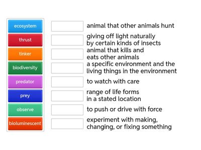 End of Module Vocabulary Practice