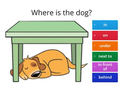 Prepositions - in, on, under, next to, in front of, behind 