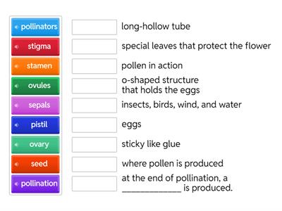 Pollination & Flower Parts w/audio