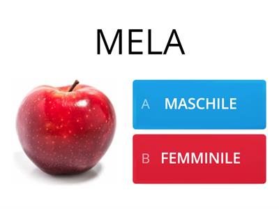 MASCHILE O FEMMINILE ( CON IMMAGINI )