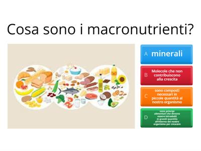 I macronutrienti