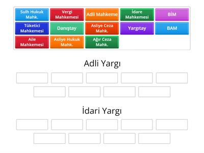 Vatandaşlık Yargı Kolları