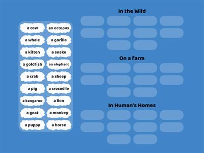 PI3 - Unit 11 - Animals (wild, farm, home)