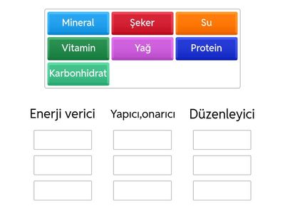 Besinleri gruplandırma