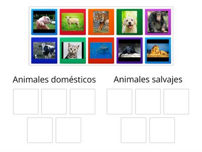 Animales 