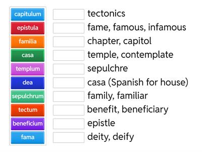 Grammar 4 Chapter 20 latin derivatives