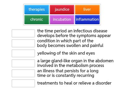 Hepatitis Vocabulary Basics